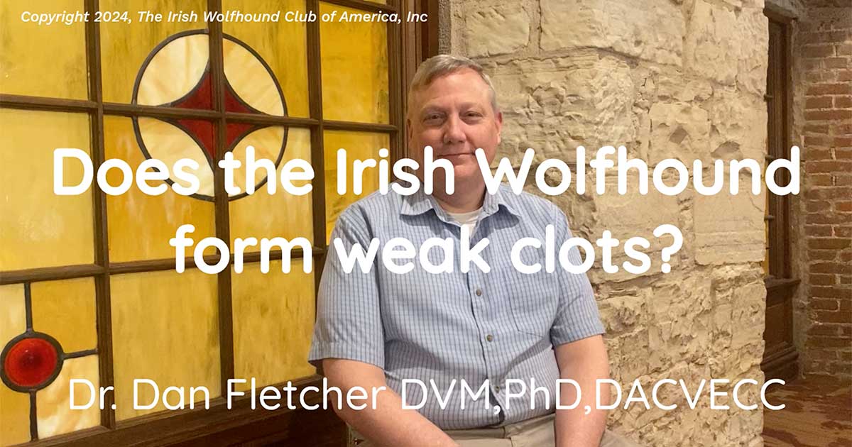 2024 Update – Canine Osteosarcoma Early Detection - The COED Study with Jaime Modiano DVM, PhD