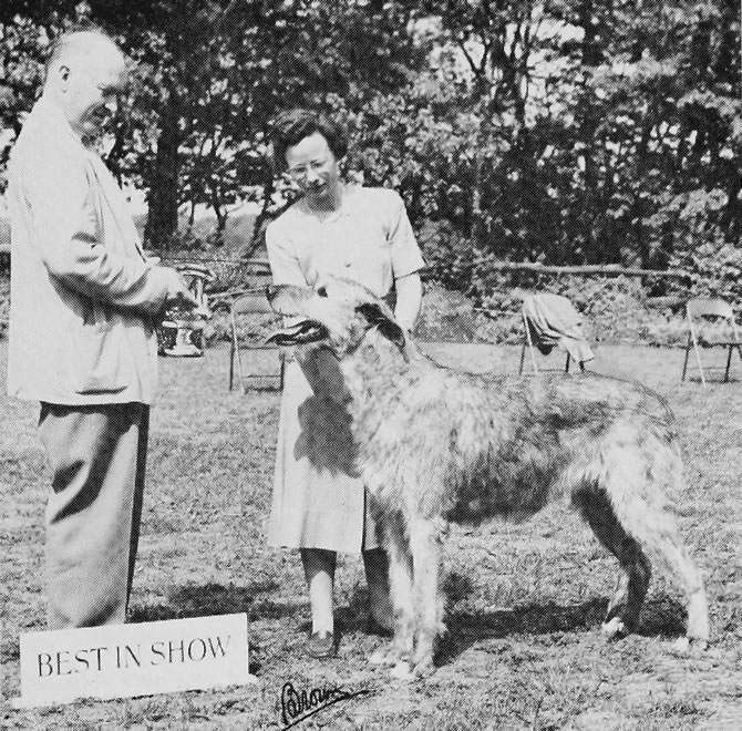 CH Tralee of Ambleside