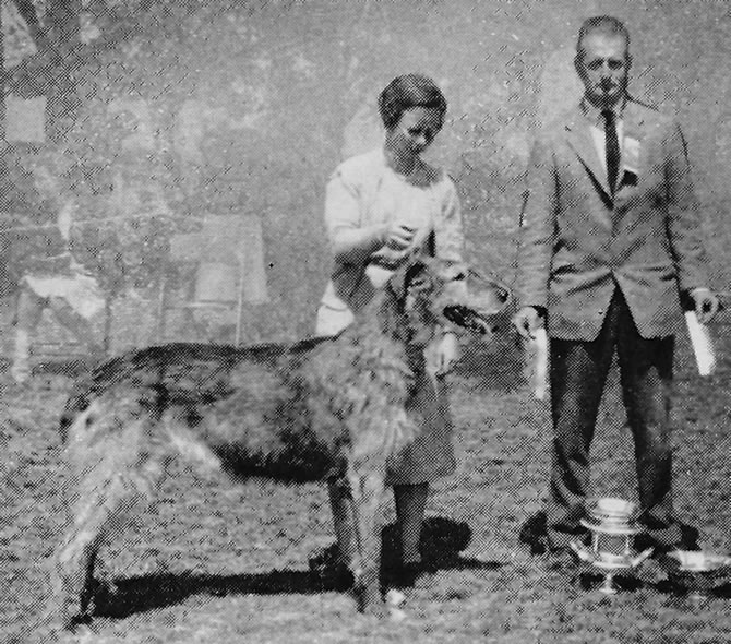 CH Tralee of Ambleside