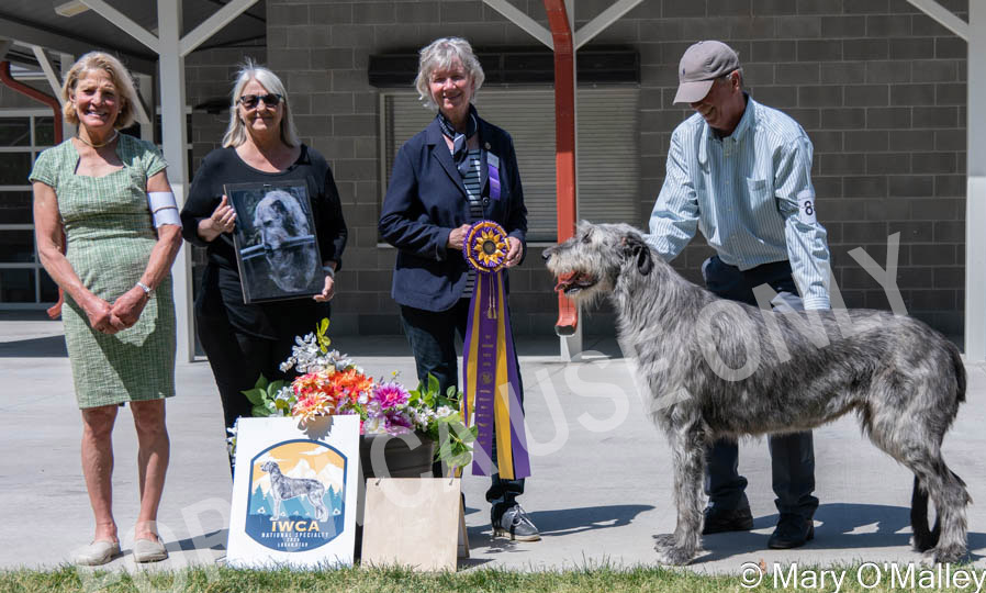 GCH PINEHURST EVITA OF TARYN