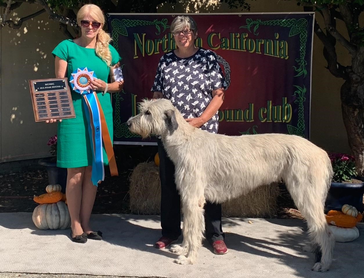 CH Finnegan's Gotta Have Another Round CD BN RE JSR FDC CGCA TKN