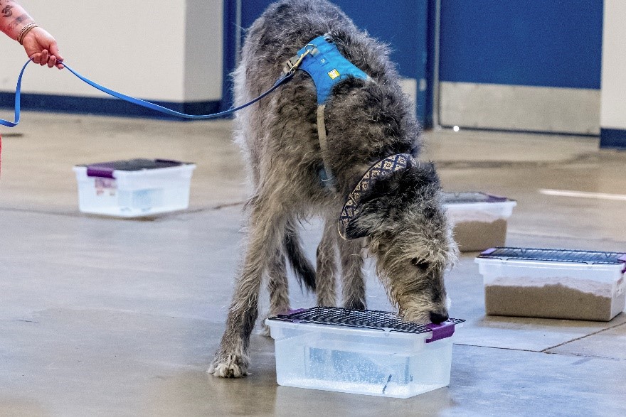 Howlin's Hi-Ho Lounge on St. Claude